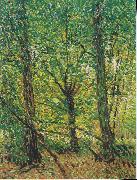 Vincent Van Gogh Trees and Undergrowth Spain oil painting artist